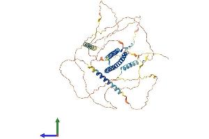 AlphaFold protein structure predicition of Mouse Recombinant Tfe3 Protein, UniprotID Q64092