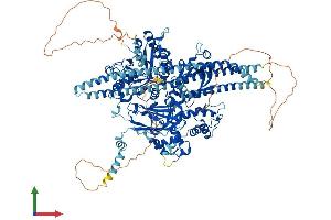 Protein Structure (PS) image for phospholipase C beta 2 (PLCb2) (AA 1-1181) protein (His tag) (ABIN7561991)