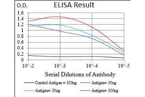 ELISA image for anti-Homeobox B4 (HOXB4) (AA 16-251) antibody (ABIN2682994)