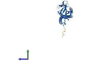 Protein Structure (PS) image for C-Type Lectin Domain Family 1, Member A (CLEC1A) (AA 1-280) protein (His tag) (ABIN7546558)