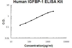 Human IGFBP-1 Accusignal ELISA Kit Human IGFBP-1 AccuSignal ELISA Kit standard curve.