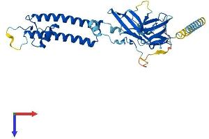 KCNJ15 Protein (AA 1-375) (His tag)