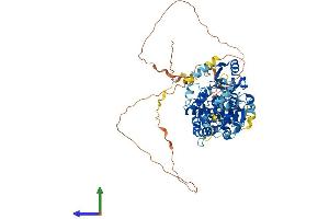 AlphaFold protein structure predicition of Human Recombinant NSUN7 Protein, UniprotID Q8NE18