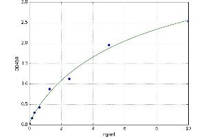 A typical standard curve (CCBL1 ELISA 试剂盒)