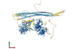 Protein Structure (PS) image for CDC42 Binding Protein Kinase gamma (DMPK-Like) (CDC42BPG) (AA 1-1551) protein (His tag) (ABIN7564264)