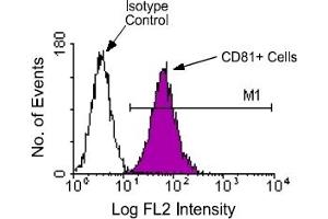 Flow Cytometry (FACS) image for anti-CD81 (CD81) antibody (PE) (ABIN371126) (CD81 抗体  (PE))