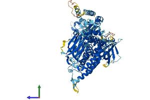 Protein Structure (PS) image for RAS Protein Activator Like 1 (GAP1 Like) (RASAL1) (AA 1-799) protein (His tag) (ABIN7556411)