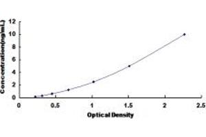 Typical standard curve (HNF1B ELISA 试剂盒)