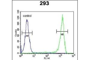 FL Antibody (C-term) (ABIN651674 and ABIN2840355) flow cytometric analysis of 293 cells (right histogram) compared to a negative control cell (left histogram). (AAGAB 抗体  (C-Term))