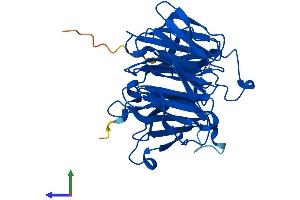Protein Structure (PS) image for RAE1 RNA Export 1 Homolog (S. Pombe) (RAE1) (AA 1-368) protein (His tag) (ABIN7559148)