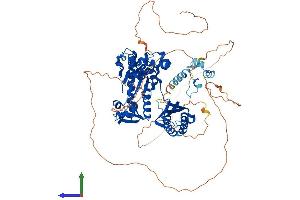 Protein Structure (PS) image for Polymerase (DNA Directed) iota (POLI) (AA 1-740) protein (His tag) (ABIN7555047)