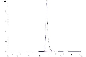 The purity of Human CD13/ANPEP is greater than 95 % as determined by SEC-HPLC. (CD13 Protein (AA 69-967) (His tag))