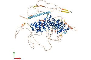 Protein Structure (PS) image for Armadillo Repeat Gene Deleted in Velocardiofacial Syndrome (ARVCF) (AA 1-962) protein (His tag) (ABIN7552426)