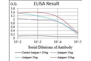 ELISA image for anti-Pyruvate Dehydrogenase Kinase, Isozyme 2 (PDK2) (AA 178-404) antibody (ABIN5542665)