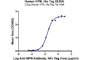 ELISA image for Hepsin (HPN) (AA 45-417) protein (His tag) (ABIN7274824)
