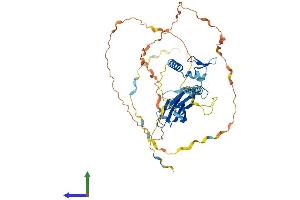 AlphaFold protein structure predicition of Human Recombinant SF3A2 Protein, UniprotID Q15428