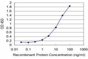 Detection limit for recombinant GST tagged HD is approximately 0. (Huntingtin 抗体  (AA 81-190))