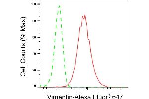 Flow cytometric analysis of vimentin expression in C2C12 cells using vimentin antibody (ABIN7800836), 1:2,000). (Vimentin 抗体)