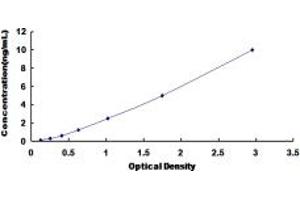 Typical standard curve (NFIX ELISA 试剂盒)