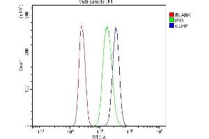Flow Cytometry analysis of U937 cells using anti-CLPP antibody (ABIN5693176).