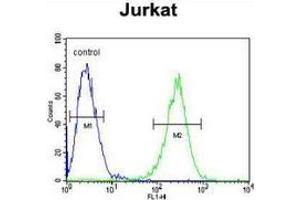 Flow Cytometry (FACS) image for anti-Membrane Protein, Palmitoylated 1, 55kDa (MPP1) (AA 304-331), (Middle Region) antibody (ABIN953491)