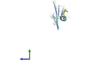 Protein Structure (PS) image for Ring Finger Protein 20 (RNF20) (AA 1-975) protein (His tag) (ABIN7552773)