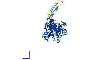 Protein Structure (PS) image for Fucosyltransferase 8 (Alpha (1,6) Fucosyltransferase) (FUT8) (AA 1-575) protein (His tag) (ABIN7547756)