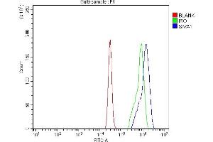 Flow Cytometry analysis of U937 cells using anti-SIVA/SIVA1 antibody (ABIN7598994).