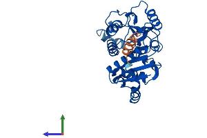 AlphaFold protein structure predicition of Human Recombinant GNPDA1 Protein, UniprotID P46926 (GNPDA1 Protein (AA 1-289) (His tag))