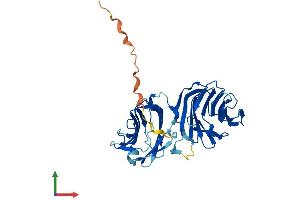 Protein Structure (PS) image for Lectin, Galactoside-Binding, Soluble, 12 (LGALS12) (AA 1-336) protein (His tag) (ABIN7548979)