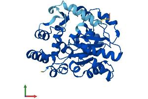 Protein Structure (PS) image for Sulfotransferase Family, Cytosolic, 6B, Member 1 (SULT6B1) (AA 1-303) protein (His tag) (ABIN7546449)
