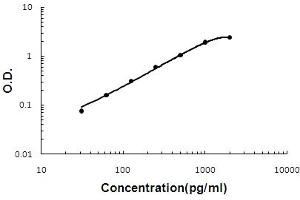 Sandwich ELISA - Recombinant mouse Oncostatin M/Osm protein standard curve.