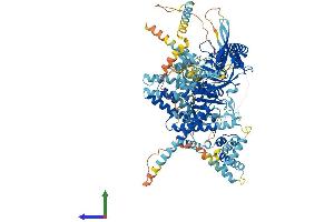 Protein Structure (PS) image for Ubiquitin Specific Peptidase 25 (USP25) (AA 1-1055) protein (His tag) (ABIN7555921)