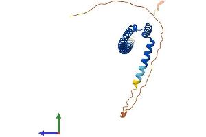 AlphaFold protein structure predicition of Human Recombinant TLE5 Protein, UniprotID Q08117