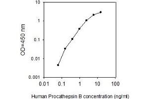 Standard Curve (Pro-Cathepsin B ELISA 试剂盒)