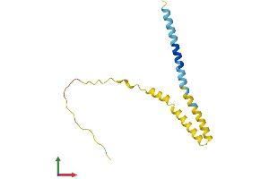 AlphaFold protein structure predicition of Human Recombinant IFITM5 Protein, UniprotID A6NNB3