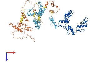 AlphaFold protein structure predicition of Human Recombinant ZNF674 Protein, UniprotID Q2M3X9