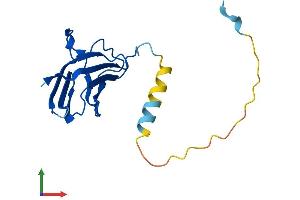 Protein Structure (PS) image for Prostaglandin E Synthase 3 (Cytosolic) (PTGES3) (AA 1-160) protein (His tag) (ABIN7544306)