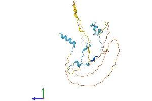 Protein Structure (PS) image for CDC42 Effector Protein (Rho GTPase Binding) 3 (CDC42EP3) (AA 1-254) protein (His tag) (ABIN7560528)