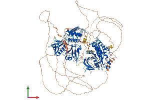 Protein Structure (PS) image for Protein tyrosine Phosphatase, Non-Receptor Type 14 (PTPN14) (AA 1-1189) protein (His tag) (ABIN7563944)
