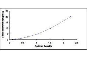 ER Lipid Raft Associated 2 (ERLIN2) ELISA Kit