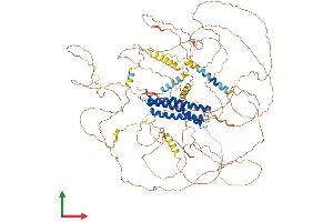 Protein Structure (PS) image for Discs, Large (Drosophila) Homolog-Associated Protein 2 (DLGAP2) (AA 1-1054) protein (His tag) (ABIN7553671)