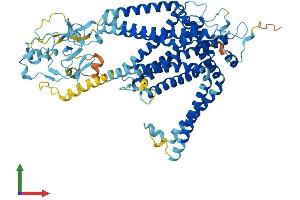 Protein Structure (PS) image for Solute Carrier Family 44, Member 4 (SLC44A4) (AA 1-707) protein (His tag) (ABIN7559980)
