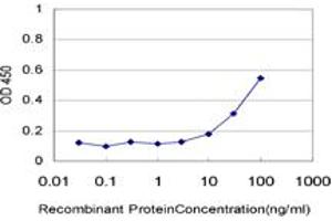 Detection limit for recombinant GST tagged CFL1 is approximately 10ng/ml as a capture antibody. (Cofilin 抗体  (AA 1-166))