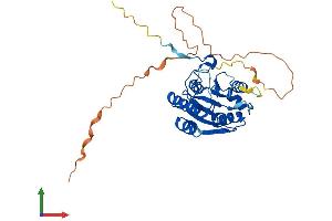Protein Structure (PS) image for BRISC and BRCA1 A Complex Member 1 (BABAM1) (AA 1-329) protein (His tag) (ABIN7552631)