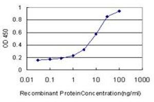 ELISA image for anti-PTK7 Protein tyrosine Kinase 7 (PTK7) (AA 36-145) antibody (ABIN519485)
