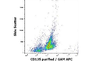 Flow cytometry surface staining pattern of REH cells stained using anti-human CD135 (BV10A4) purified antibody (concentration in sample 5 μg/mL, GAM APC). (FLT3 抗体)