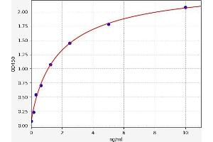 Cathepsin B (CTSB) ELISA Kit