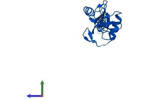 Protein Structure (PS) image for C-Type Lectin Domain Family 2, Member B (CLEC2B) (AA 1-149) protein (His tag) (ABIN7553389)