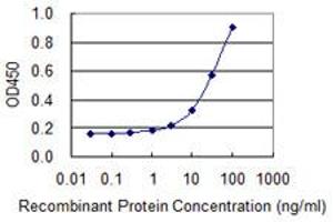 Detection limit for recombinant GST tagged PA2G4 is 1 ng/ml as a capture antibody. (PA2G4 抗体  (AA 1-110))